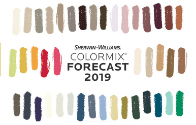 2019 Color Forecast