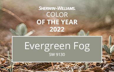 Introducing the 2022 Color of the Year, Evergreen Fog
