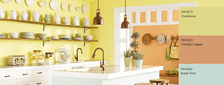 Paint Color Advice Sherwin Williams